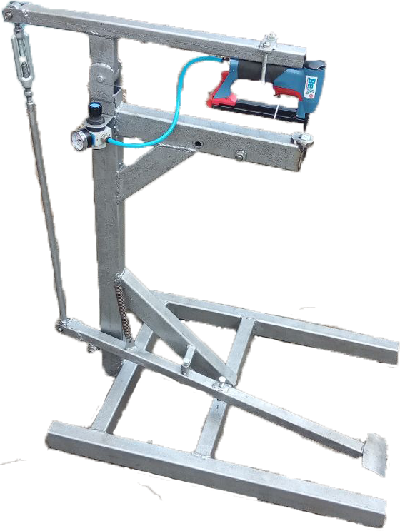 ̳������ �� ���������